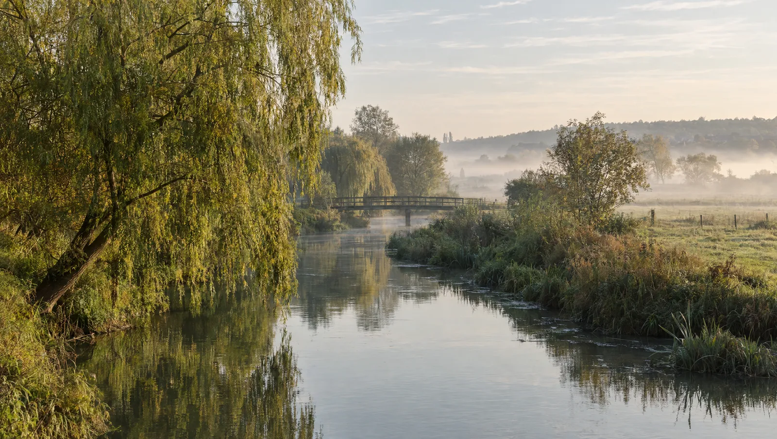 Une rivière calme sous les saules, la brume du matin sur les prés